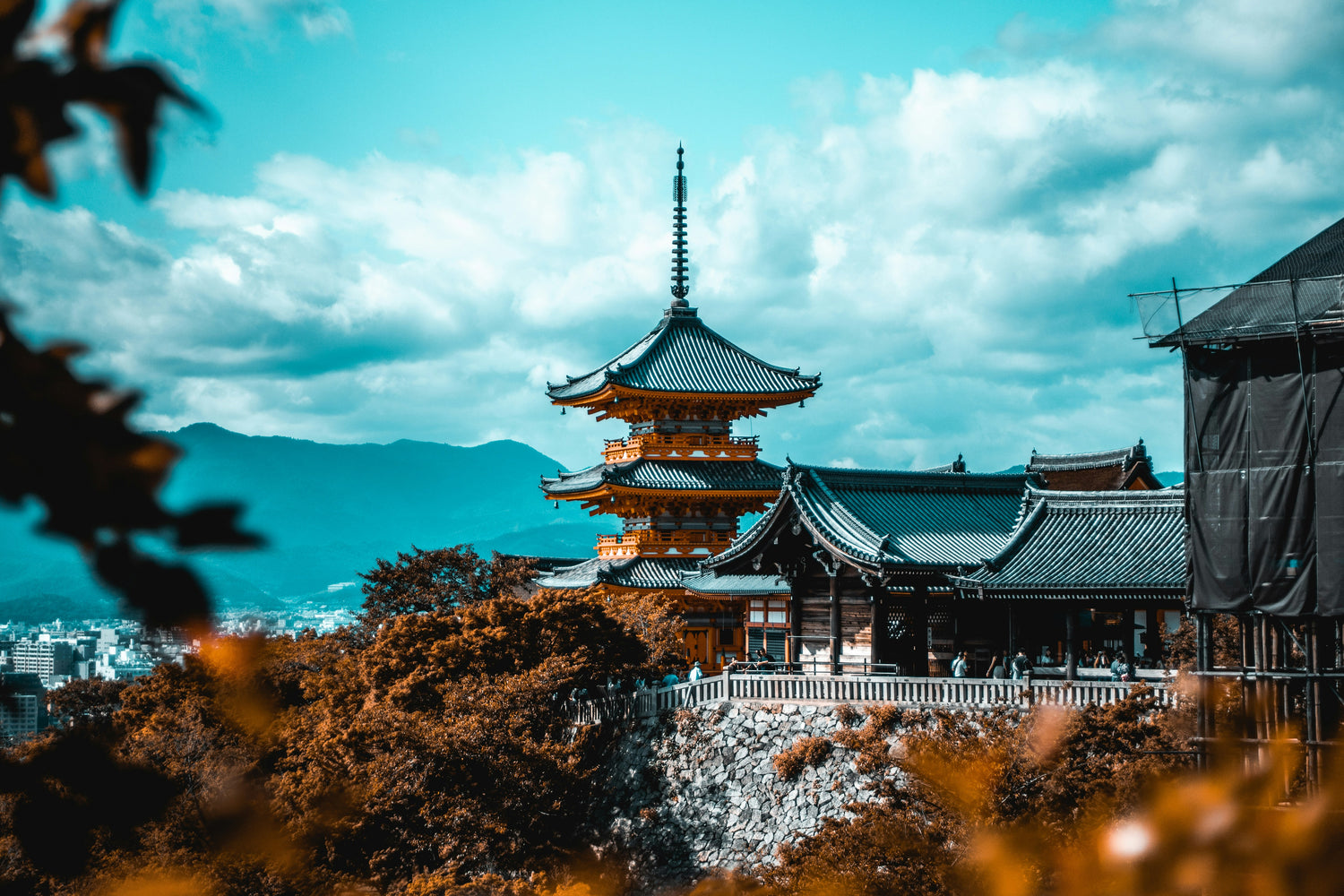 京都の日本酒